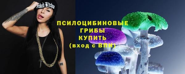 молекула духа Алексеевка