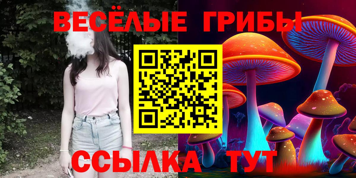 Галлюциногенные грибы Psilocybine cubensis  Вход с VPN  купить наркоту  Галлюциногенные грибы GOLDEN TEACHER  Морозовск 