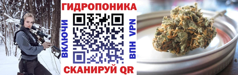 закладки  Морозовск  Конопля планчик 