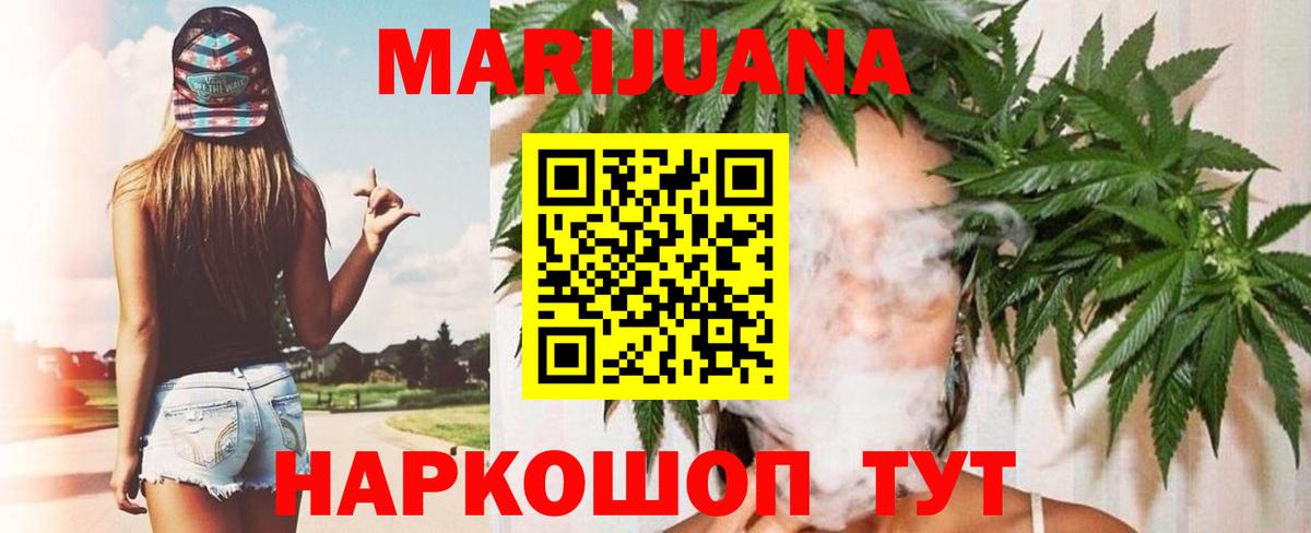 Канабис сатива Морозовск